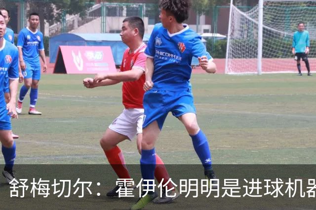 舒梅切尔：霍伊伦明明是进球机器，维韦尔来了偏要换成谢什科